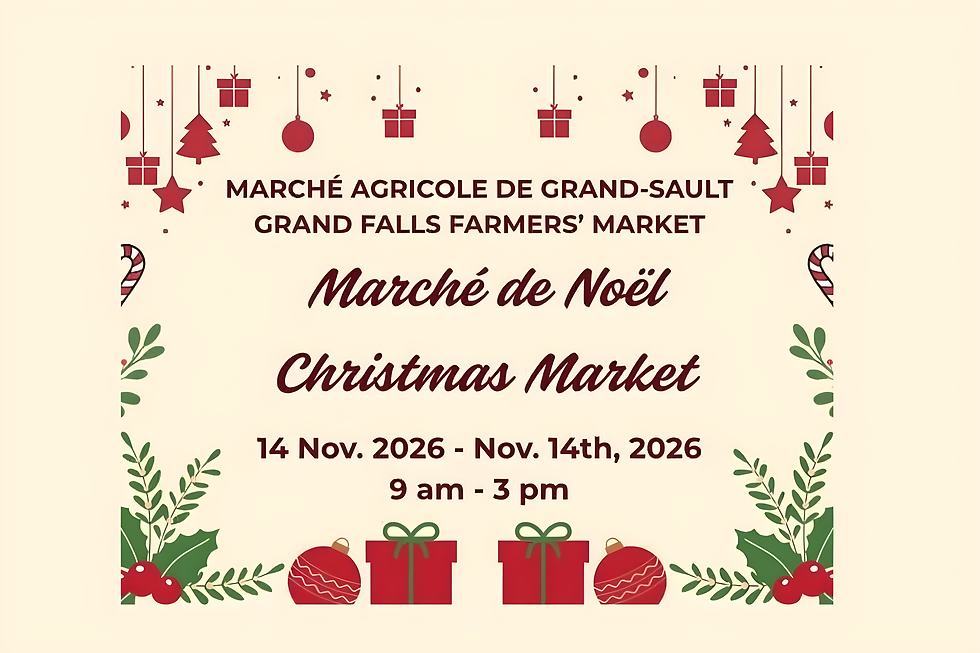 Marché de Noël / Christmas Market