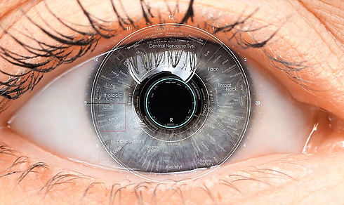 Iridology.jpg