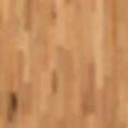 Blackbutt 3