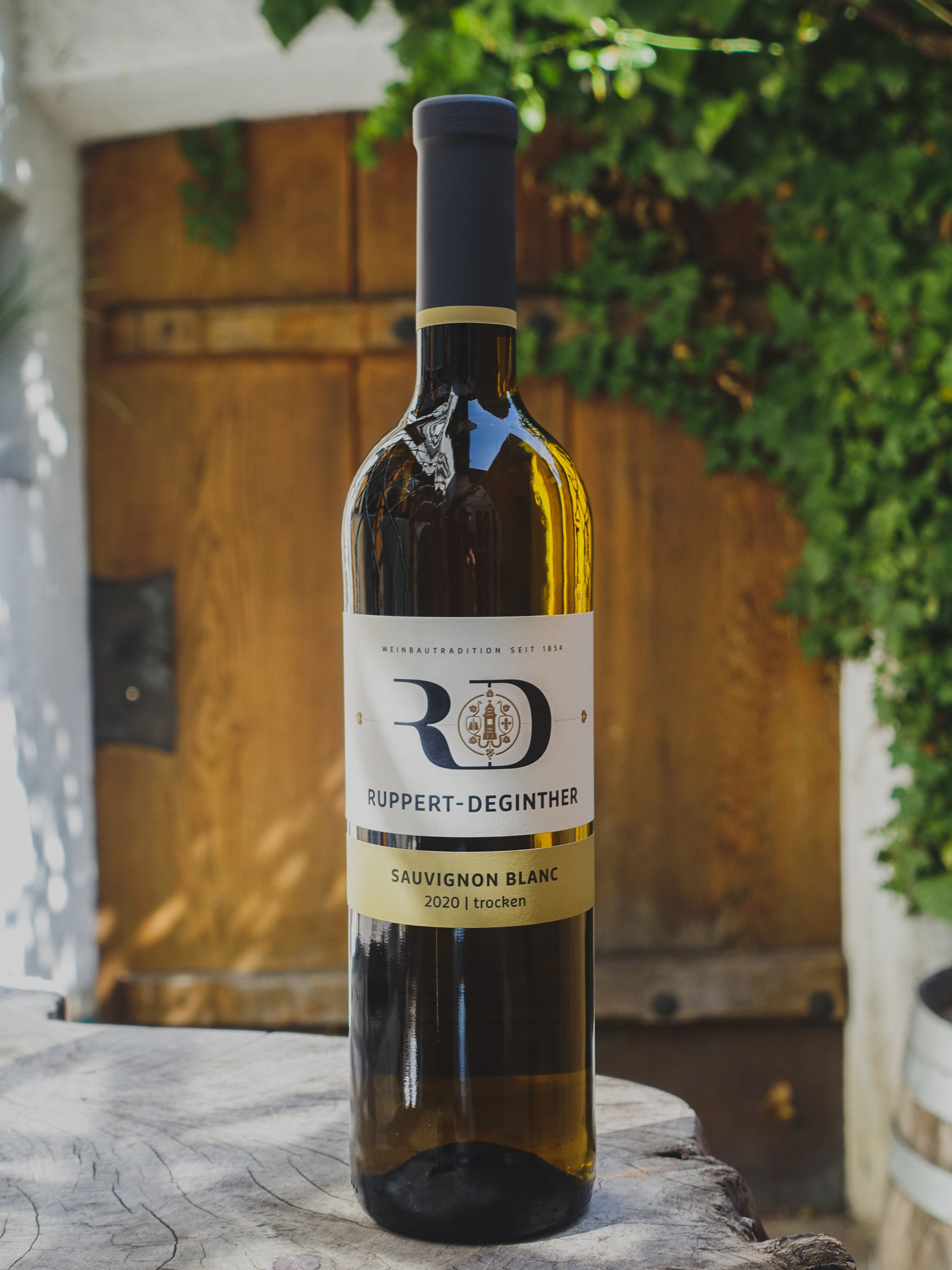 2024 Sauvignon Blanc, Weingut Ruppert-Deginther