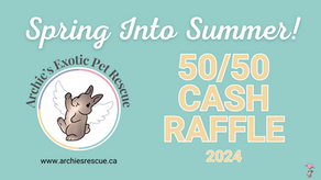 50/50 Cash Raffle!