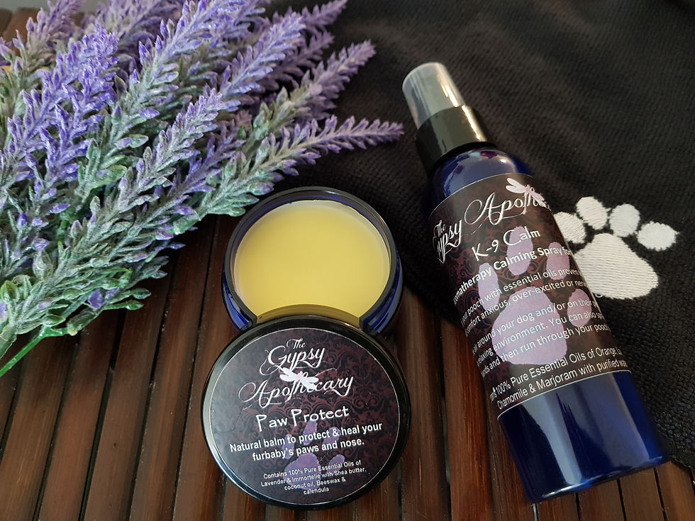 Thumbnail: Natural anxiety relief for dogs - Calming spray for dogs with essential oils