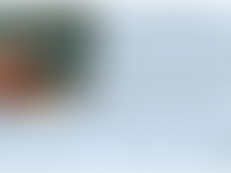 Mensagem da Diretora