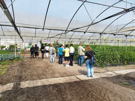 Visita à fazenda Concórdio, entidade produtora do PROVE