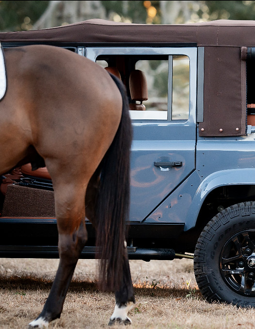 RMW Blue Ribbon Defender 110.jpeg