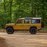 Ramble Rover.jpeg