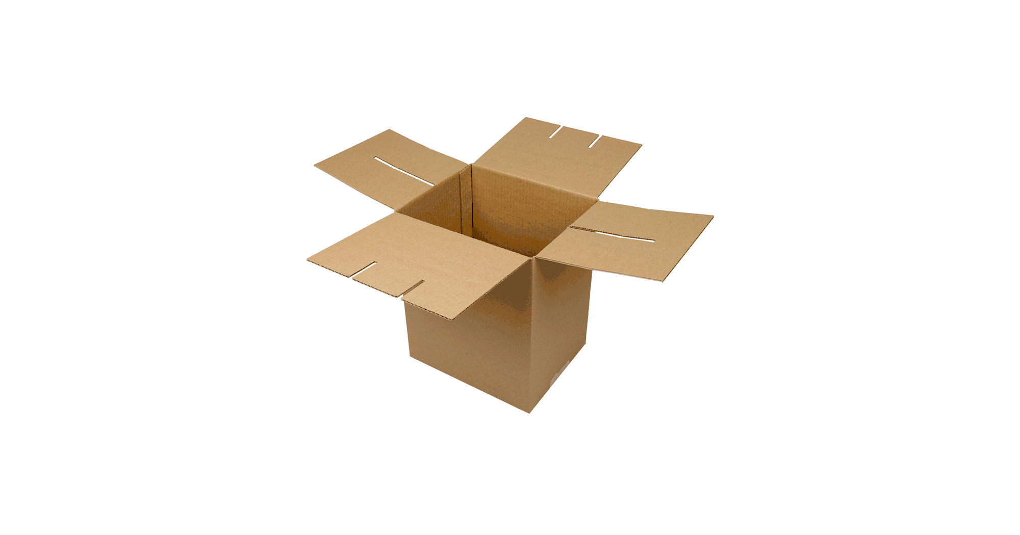 Form-a-cell_wine-box_all-sequences-for-GIF_sm.gif