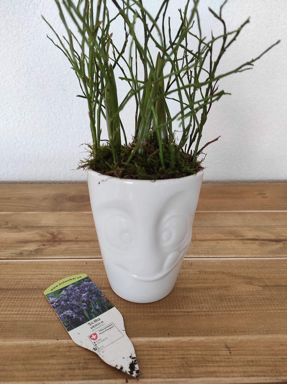 Miniaturbild: Henkelbecher Lecker