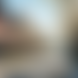 Exploring Burr Ridge: Dive into Community Dynamics