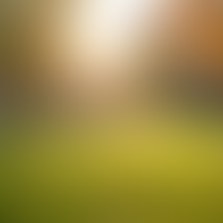 Welcome To District 3 Dialogue!