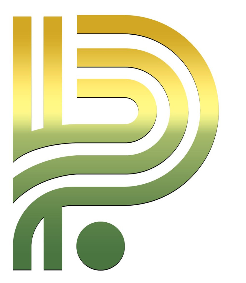 Pinnacle Horizon Training Logo