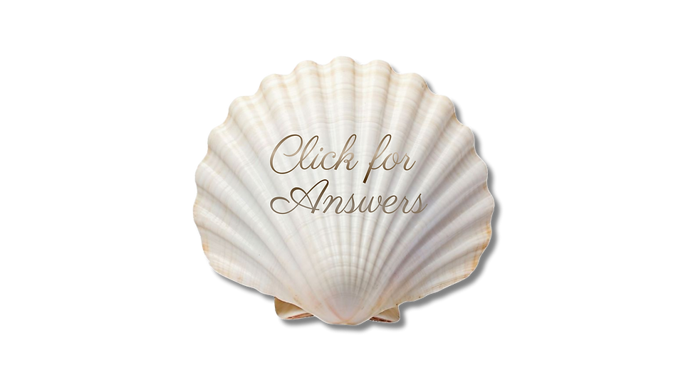 shell qa.png