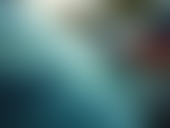 Cotización rápida de autovidrios con AutovidriosRobin