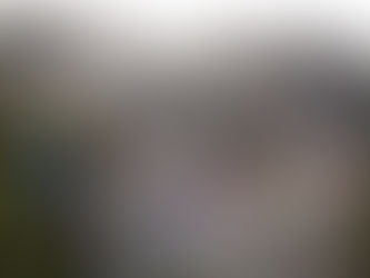 Mt. Rushmore Misadventures: Foggy Fun and a Rocky Surprise