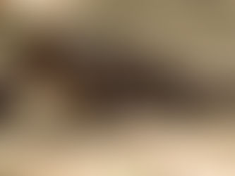 Around the World. Week 15 Wrap Up