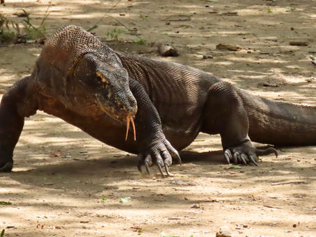 Around the World. Week 15 Wrap Up