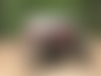 New Beginnings: A Summer of Adventure and Friendship in North Carolina