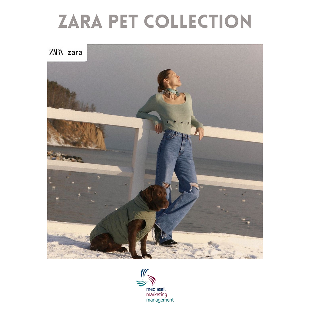 ZARA PET COLLECTION 2021 vorremmo acquistarti se solo non fossi sold out!