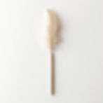 Feathery Delight Wand