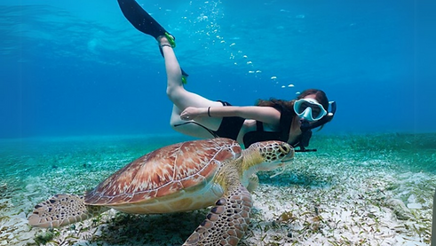 Sin título (620 x 350 px) (6).png