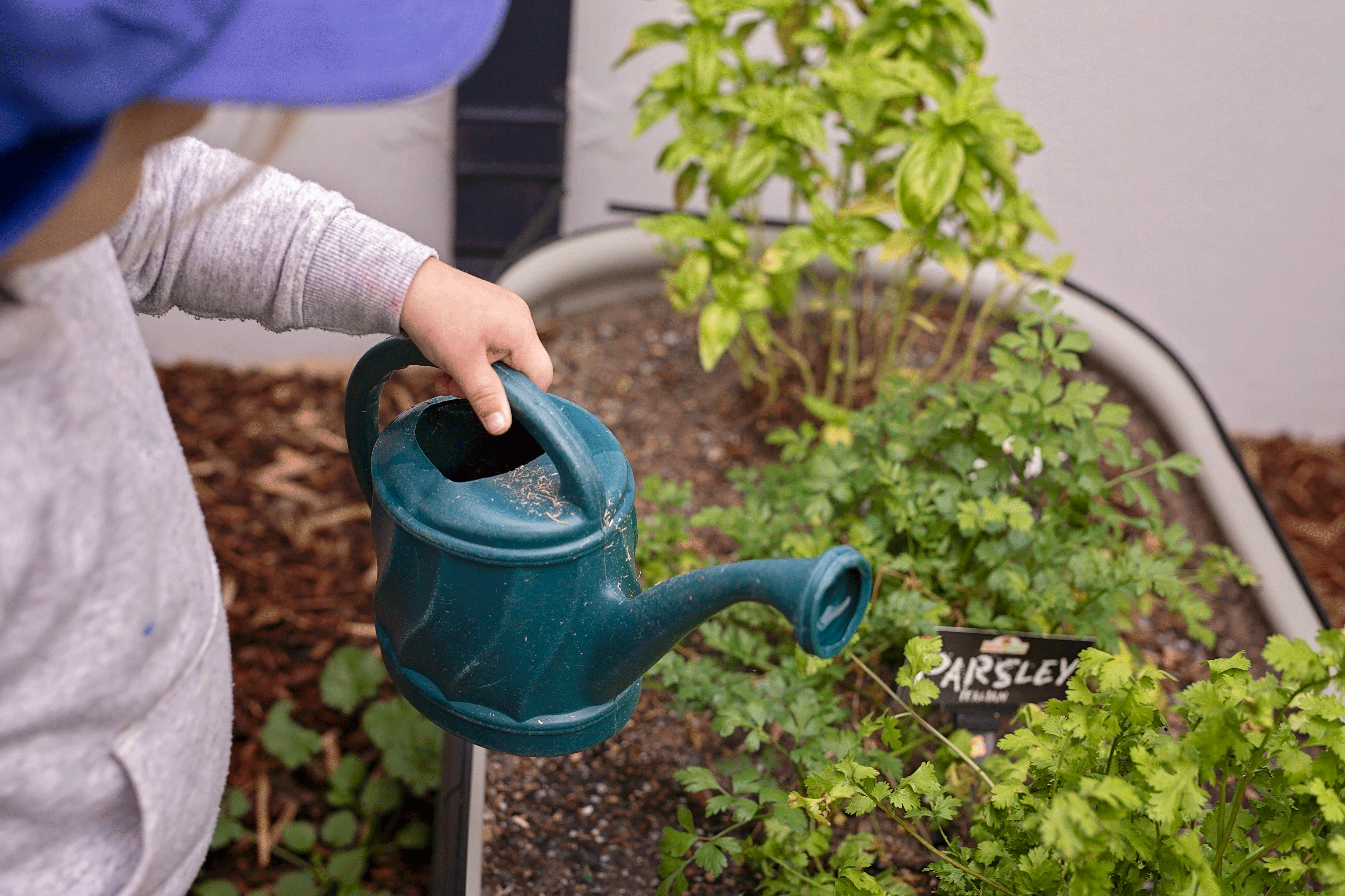 water the garden.gif