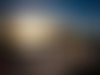 French Bulldog at sunset by the Intracoastal Waterway at Birch State Park in Fort Lauderdale