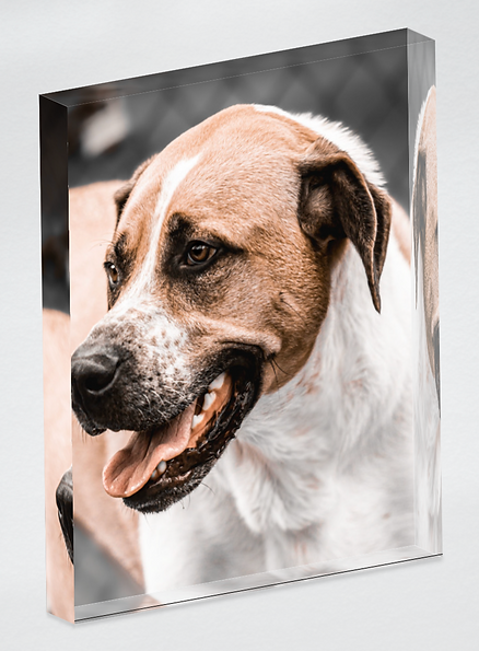 Screenshot 2024-01-24 at 2.41.08 PM.png