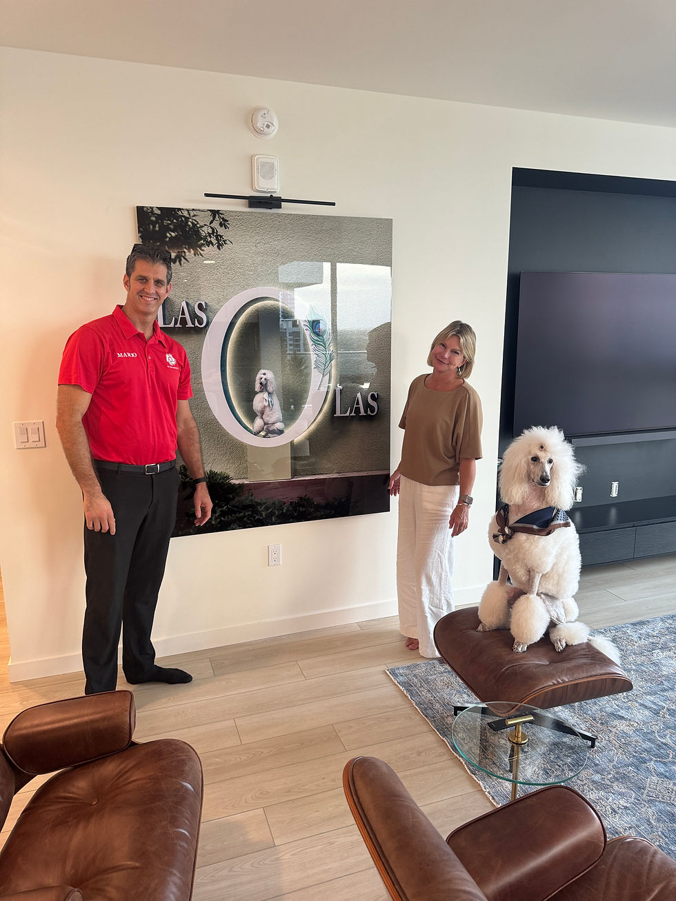 A luxury dog portrait displayed as fine art wall print in a client home by Fort Lauderdale pet photographer Mr. Paw Portraits