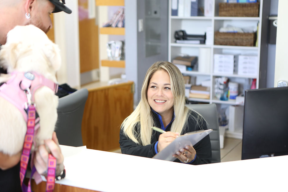 Receptionist smiling warmly at a client during a friendly interaction in the veterinary clinic lobby.