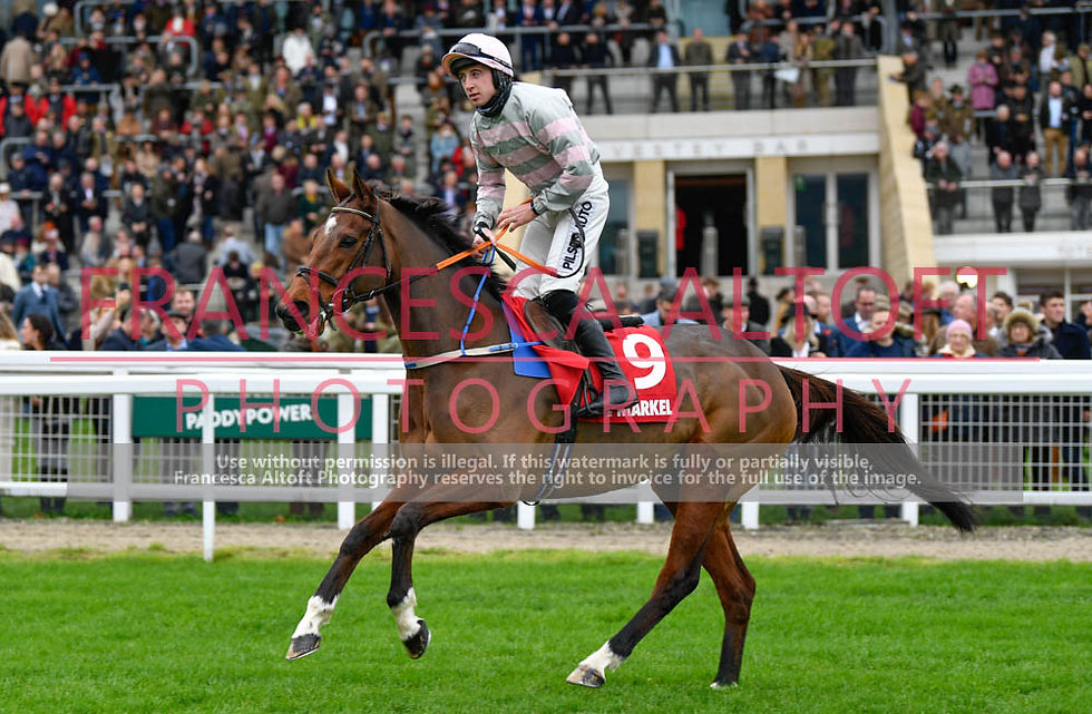 121121-025 Groveman