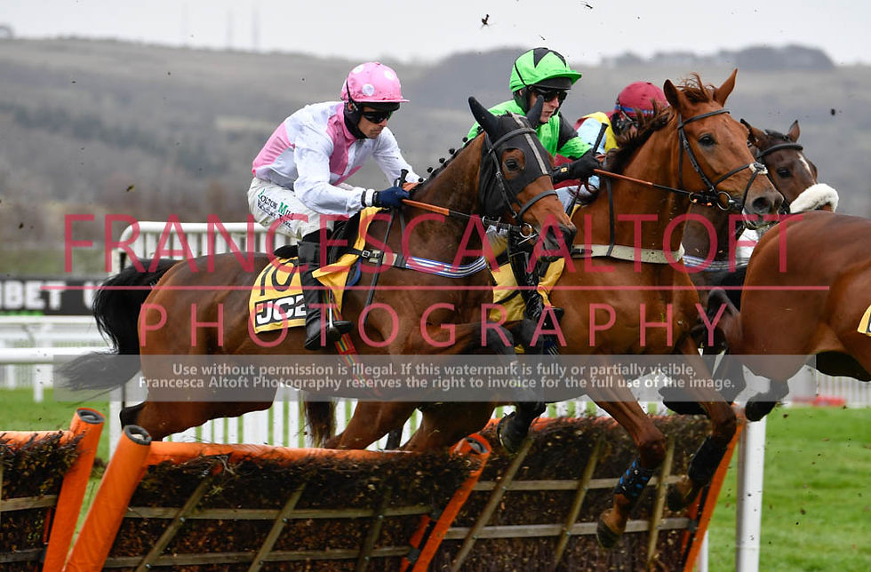 111221-021 Galah_Yorksea