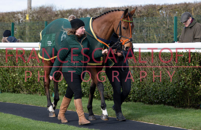 010320-018 Hoot At Midnight