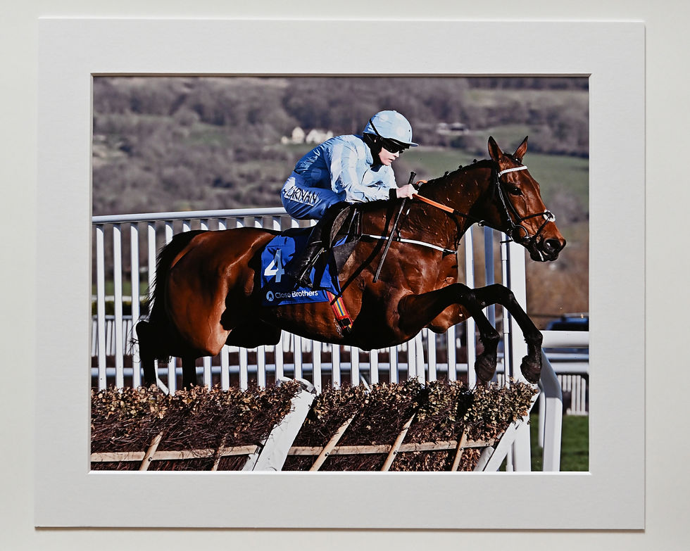 23 - £25 - 10x8 in White 12x10 Mount Honeysuckle