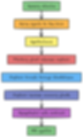 Thumbnail: Flowchart Revision