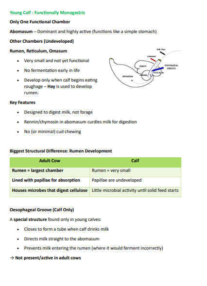 Thumbnail: Animal Nutrition/Physiology/Reproduction