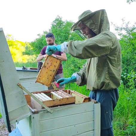 Divinya bee keeping