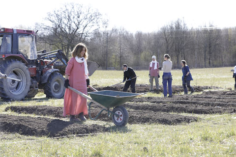 Gardening in Divinya