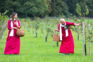 picking the first apples in Divinya's orchard