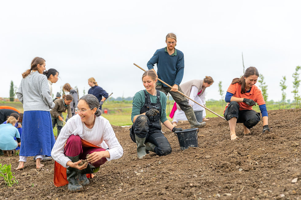 Divinya Community working their parks and gardens