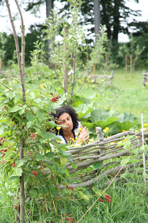 meditative contemplation in Divinya's gardens