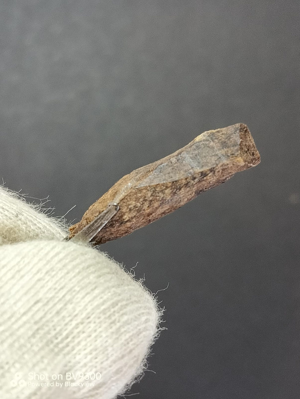 Thumbnail: 2 CARAT / 0.40 GRAM DS. SUPER BLACK KING (HS.) KYἏRἏ