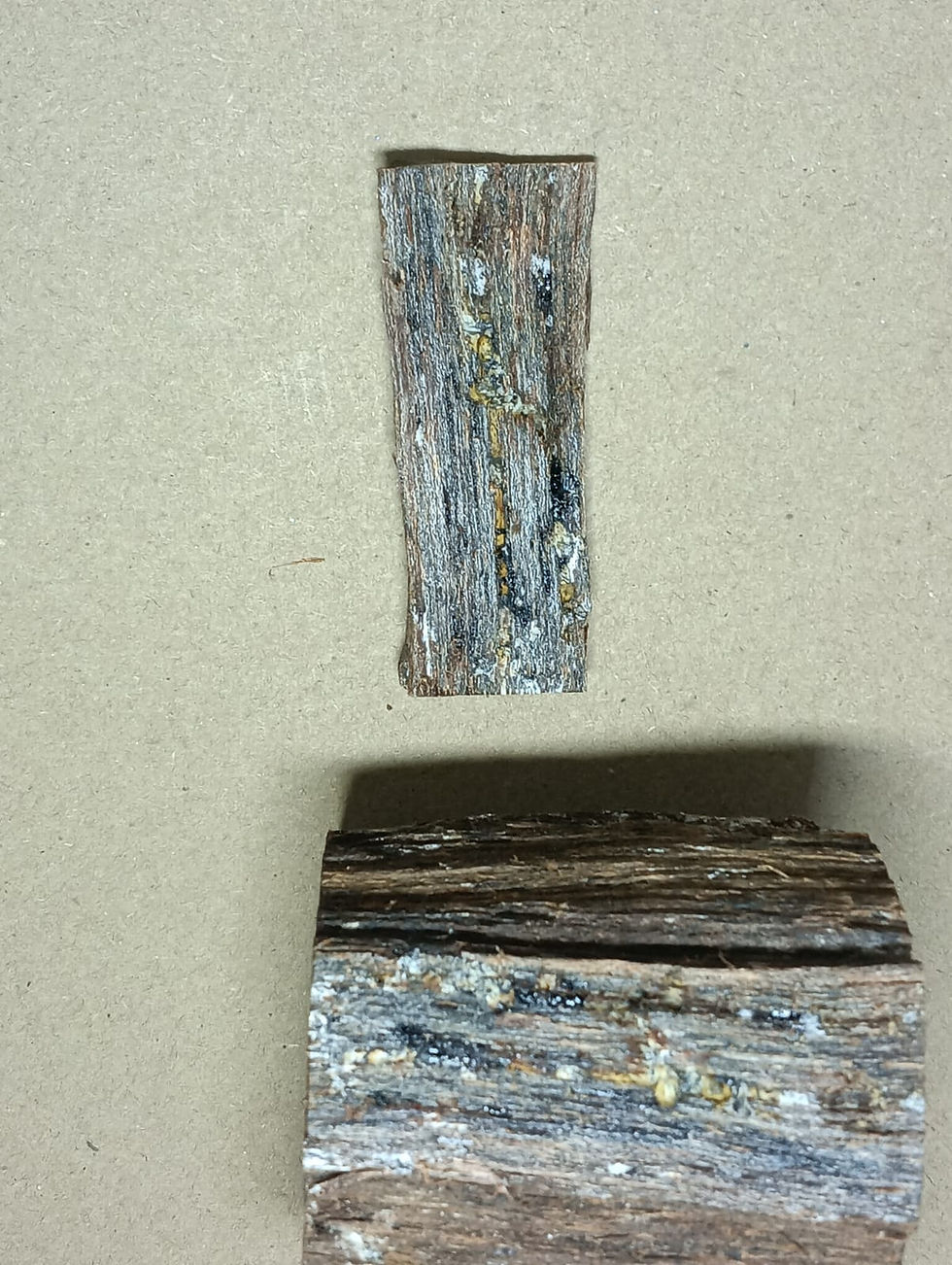 Miniaturbild: 4.81g / 24.10Ct. (Full Sink) BORNEO “BARONG-AGAR” AGARWOOD (FS)
