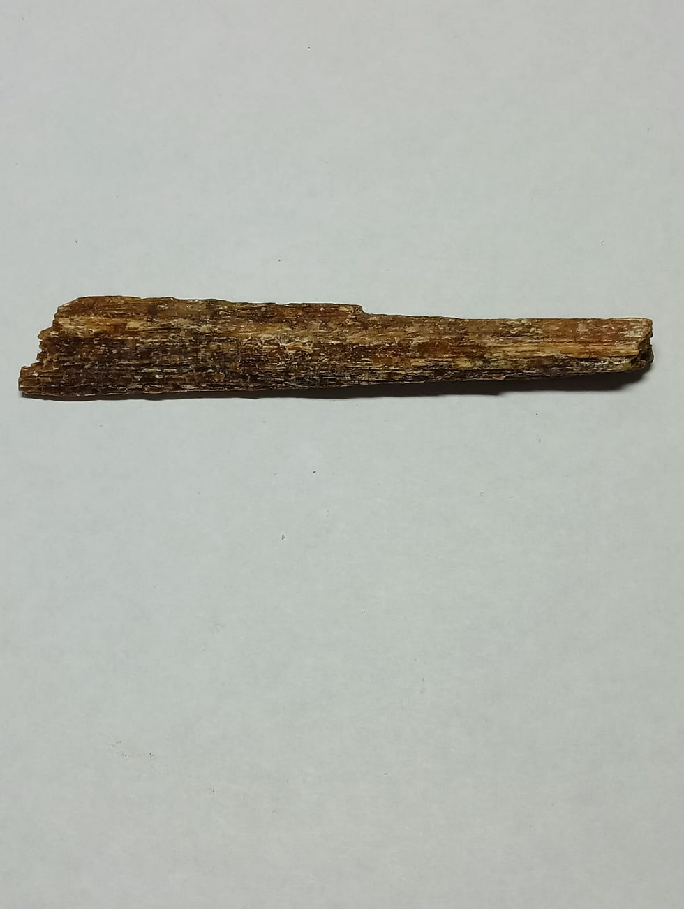 サムネイル： 3.15 Gr. / 15.75 Ct. "EMAS SUMATERA" AGARWOOD