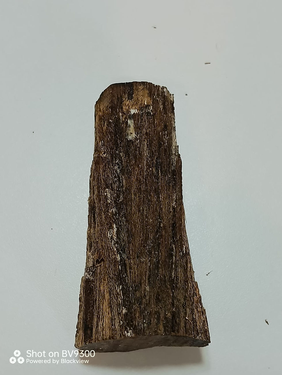 Thumbnail: 23.02 Gr./ 115.15 Ct. " VATIKAN " or " ST. PETER BLOOD " AGARWOOD