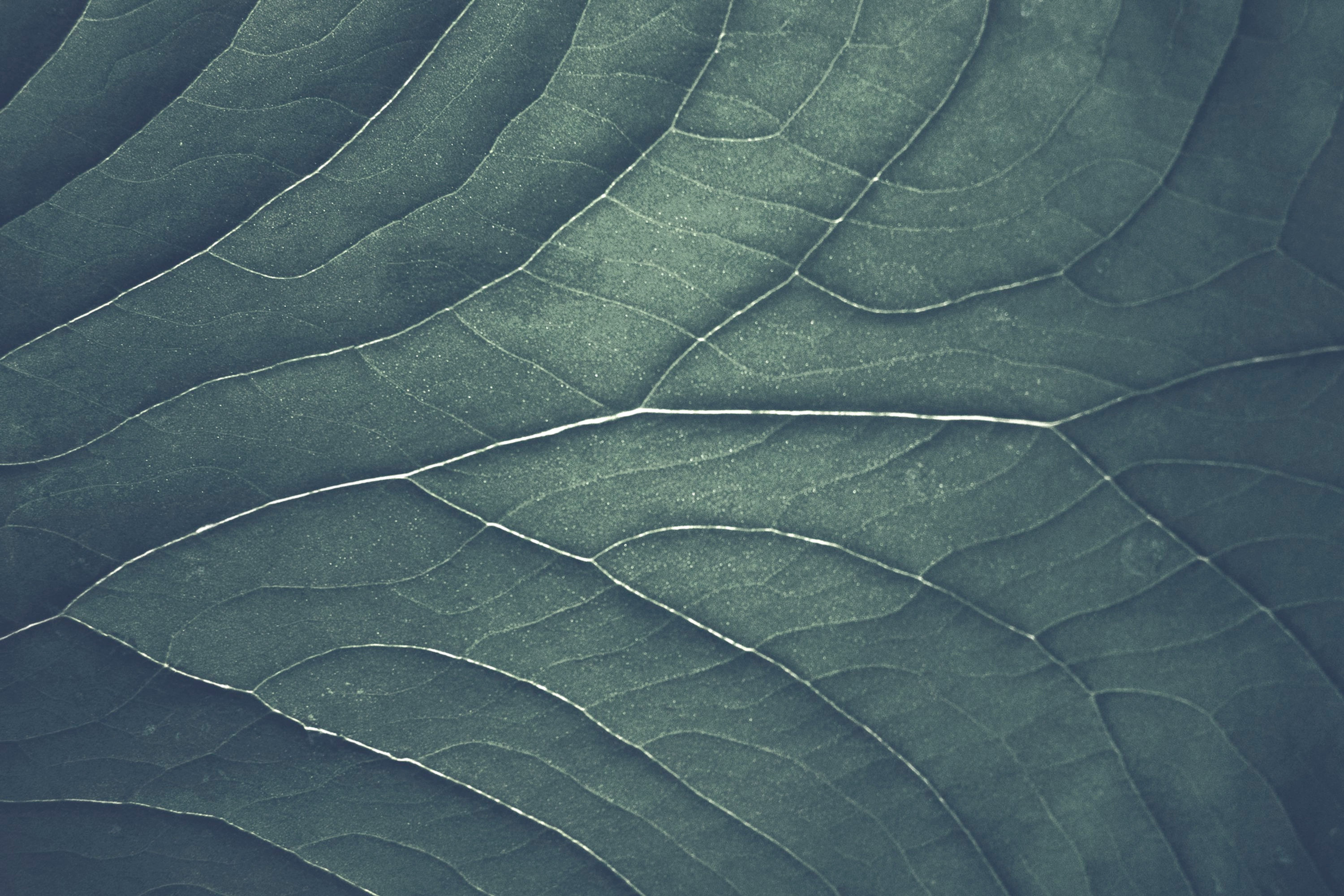 Thérapeute à Huningue – accompagnement de l’anxiété et des crises d’angoisse