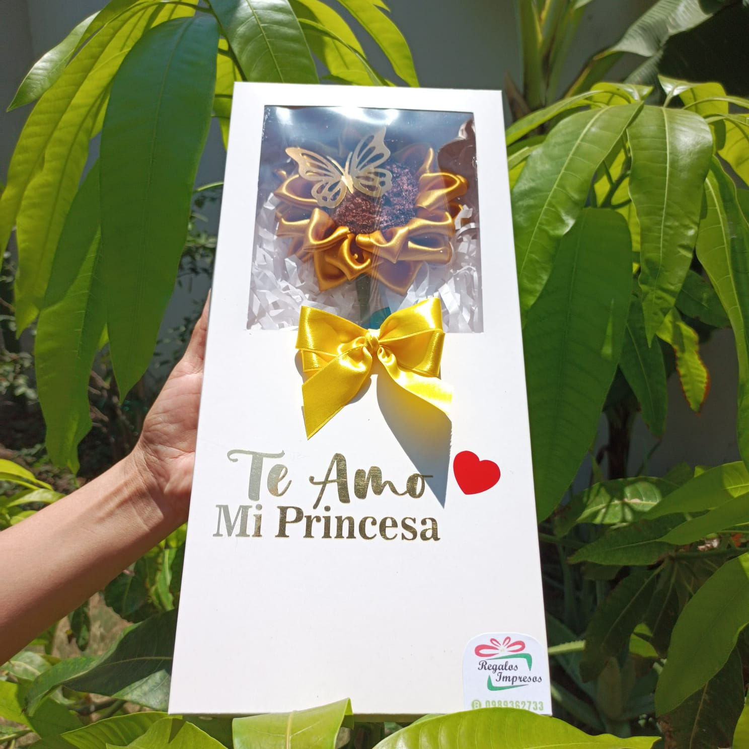 Caja de Girasol x1