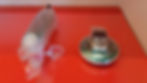 20180326_161444