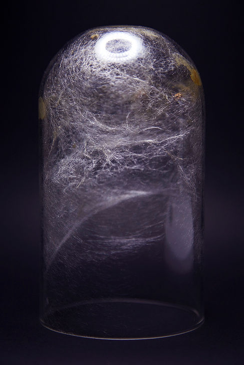 Silkworm Project - Silk Structure - White_2 - Vivian Xu.jpg