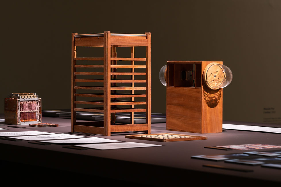 Silkworm Project NTU CCA - Exhibition 5 - Vivian Xu.jpg