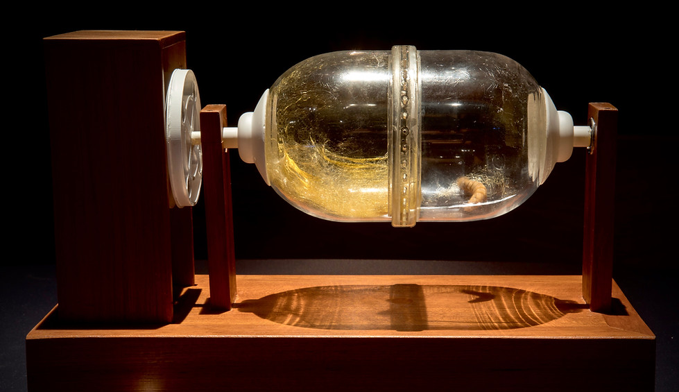 Silkworm Project Kapelica - 2 - Vivian Xu.JPG